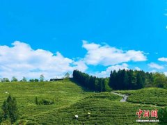 春假邂逅清明小长假 “行走的课堂”带火亲子研学游